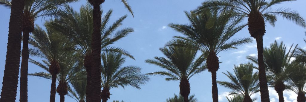 cwilliams73's profile banner image