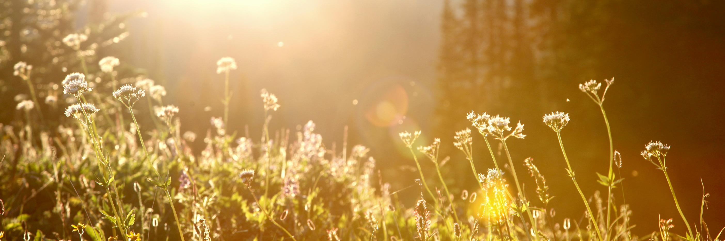 EmSlac's profile banner image