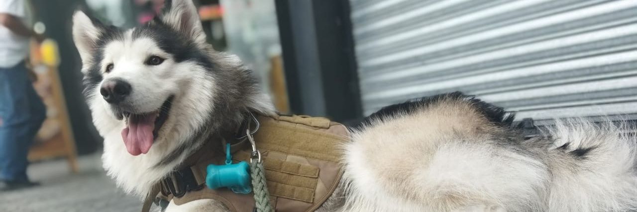 Wayne_117's profile banner image