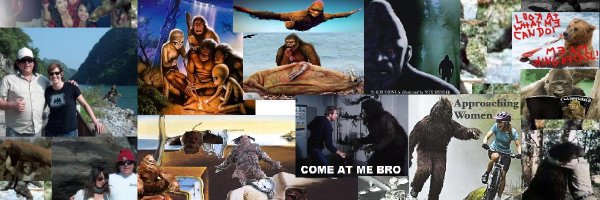 ReallySasquatch Profile Banner