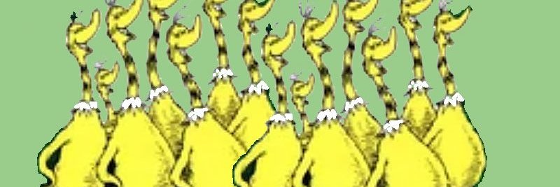 5ini5ter's profile banner image