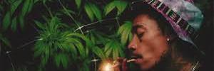 ricky_TEAMLO's profile banner image