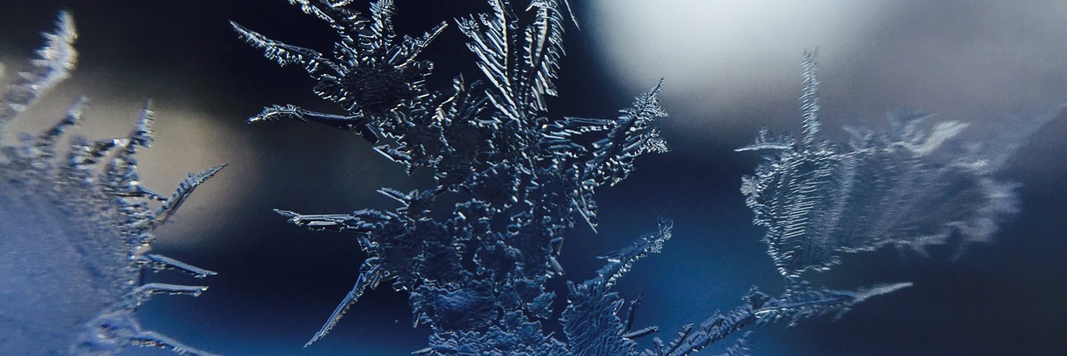 Monroedoee's profile banner image