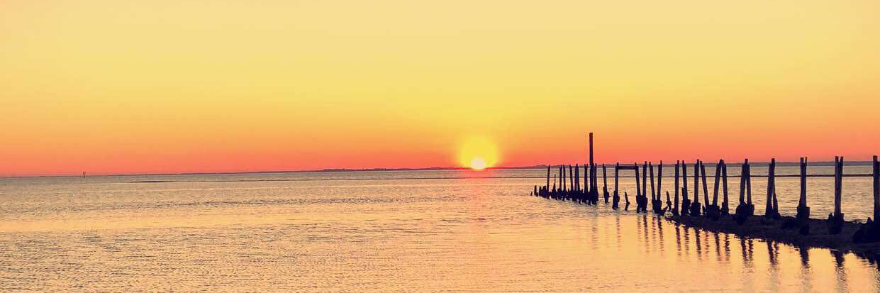 BrookeSapp12's profile banner image