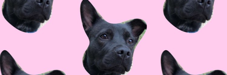 _SammyD's profile banner image