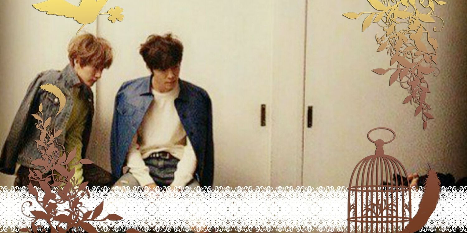 zutann12's profile banner image