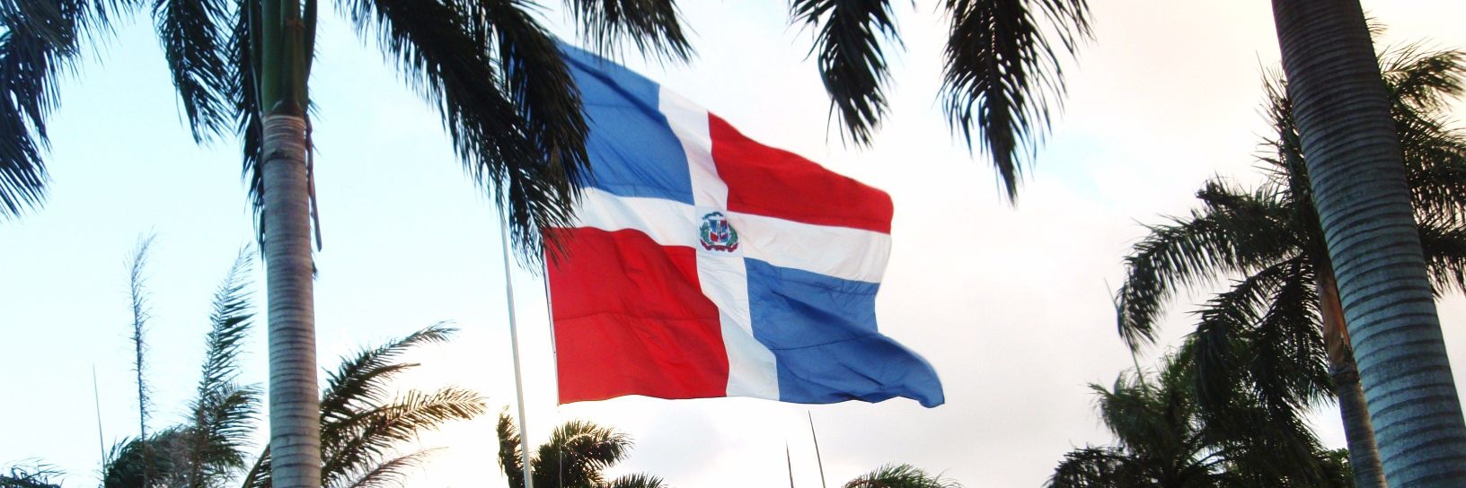 LP Cruz 🇩🇴 banner