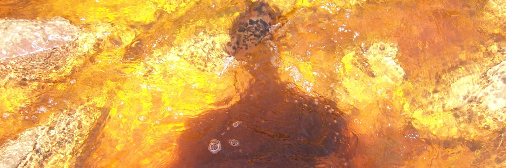 pledow's profile banner image