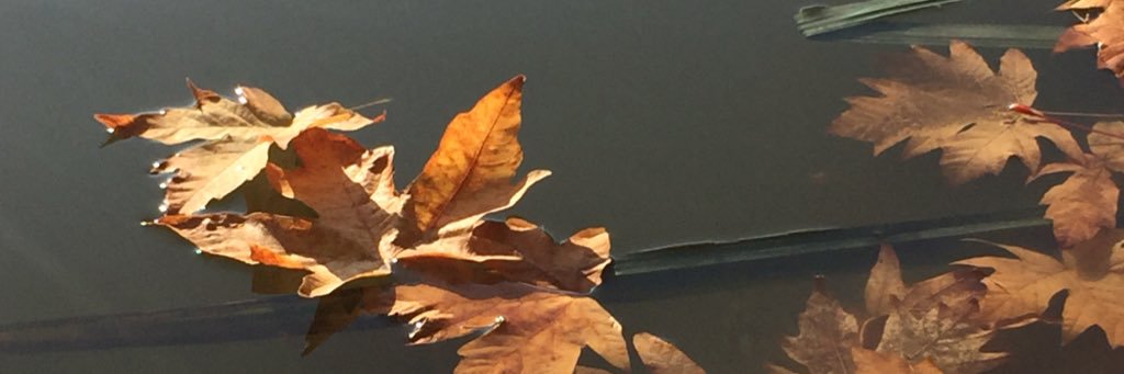 fonduevoodoo's profile banner image