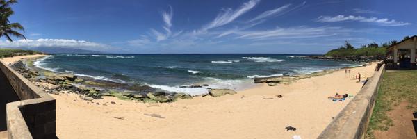 ShareHumanity Profile Banner