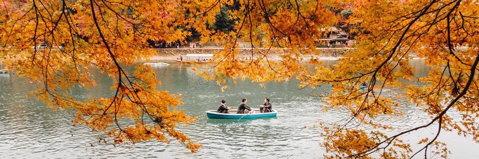 🌸ลซลฟ : Fearnot 😉 banner