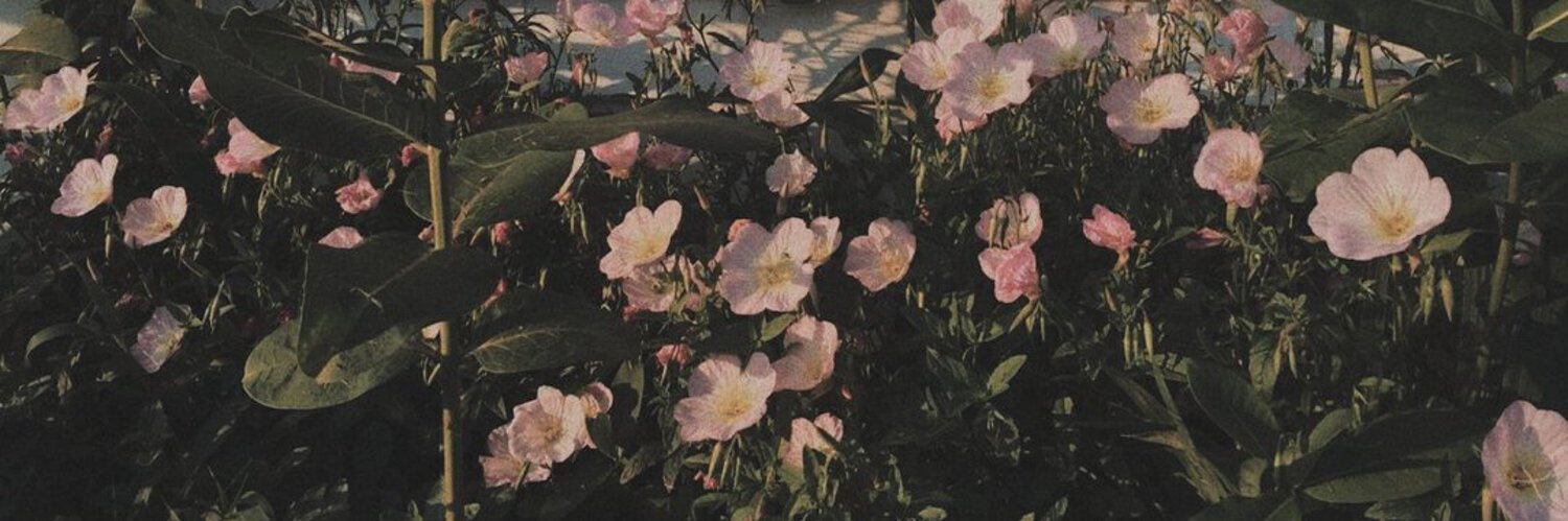 adorecolet's profile banner image