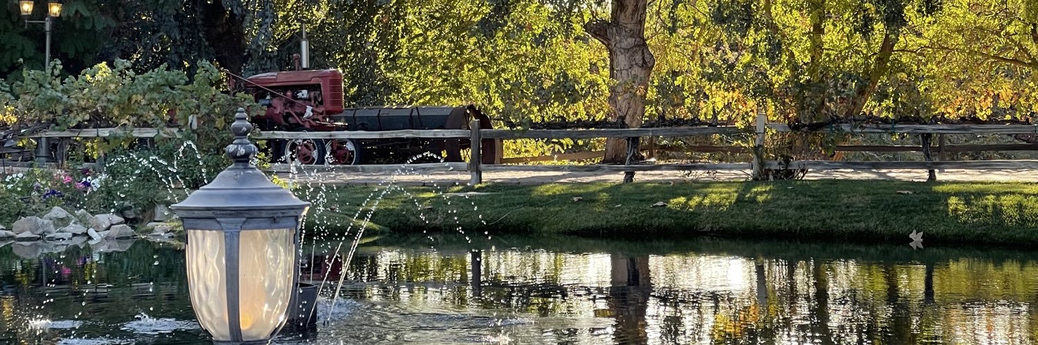 MamáBird🦋 banner