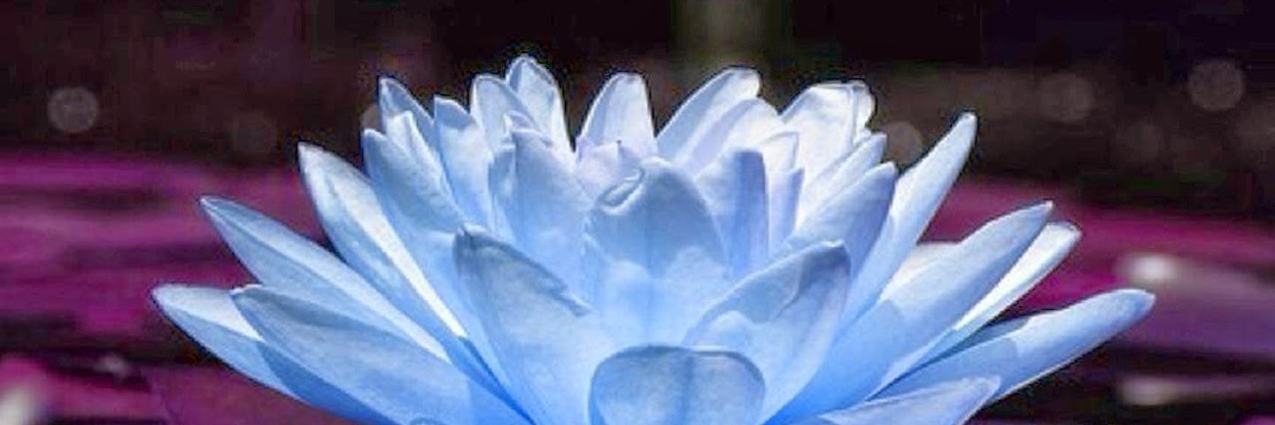 Teresa Vaughn banner