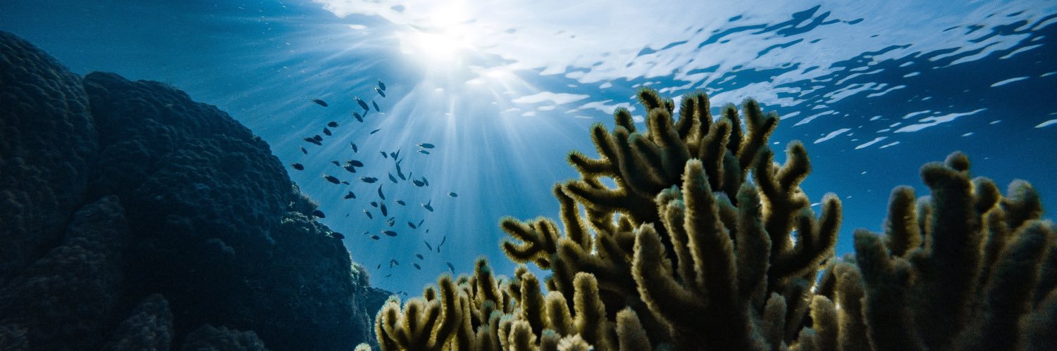 MelTheeStallion banner