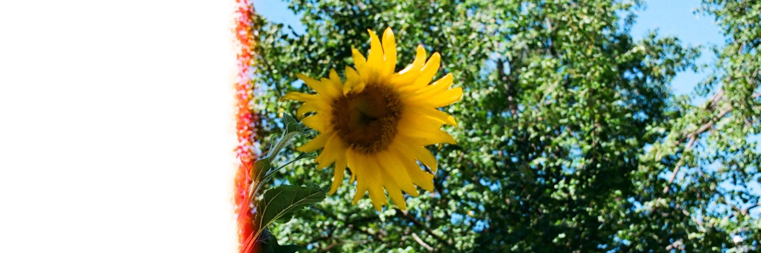 layfowler's profile banner image