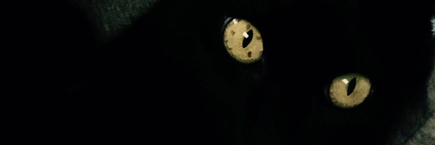 pilotpunkyz69's profile banner image