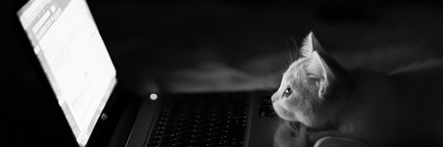 _kelvenn's profile banner image