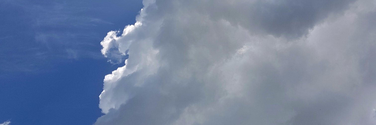 michellew2k's profile banner image