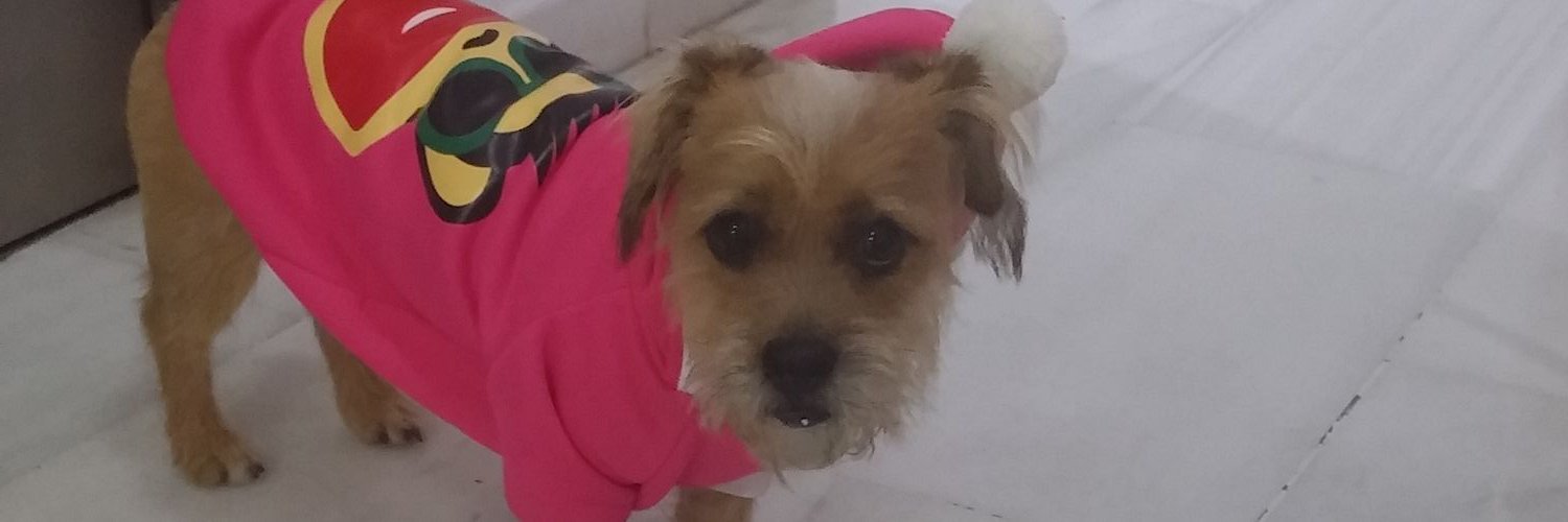 DinPriscila's profile banner image