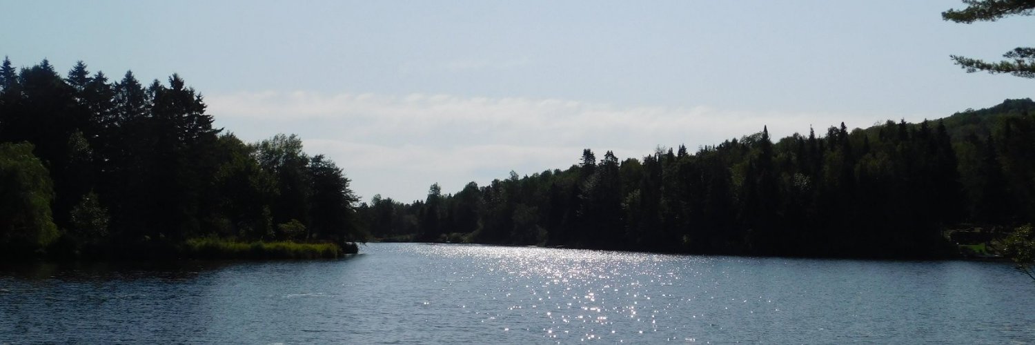 Ange_Gilbert's profile banner image