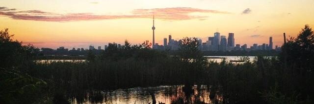Julie Buczkowski banner