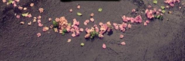 arsaf_03's profile banner image