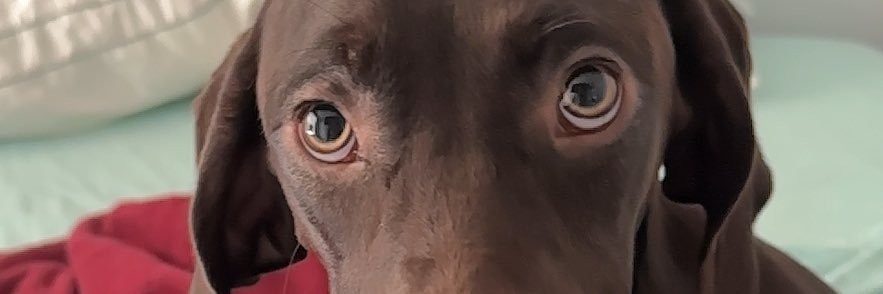 trubowen's profile banner image
