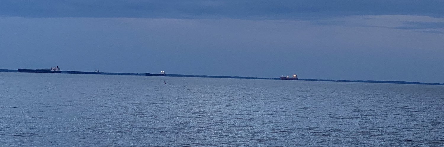 Janet Robinson banner