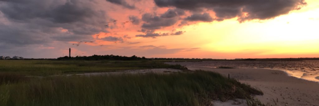 daltonricker15's profile banner image
