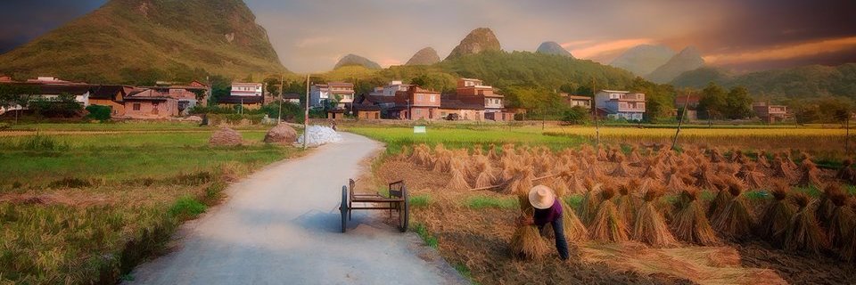 kolla_tweets's profile banner image
