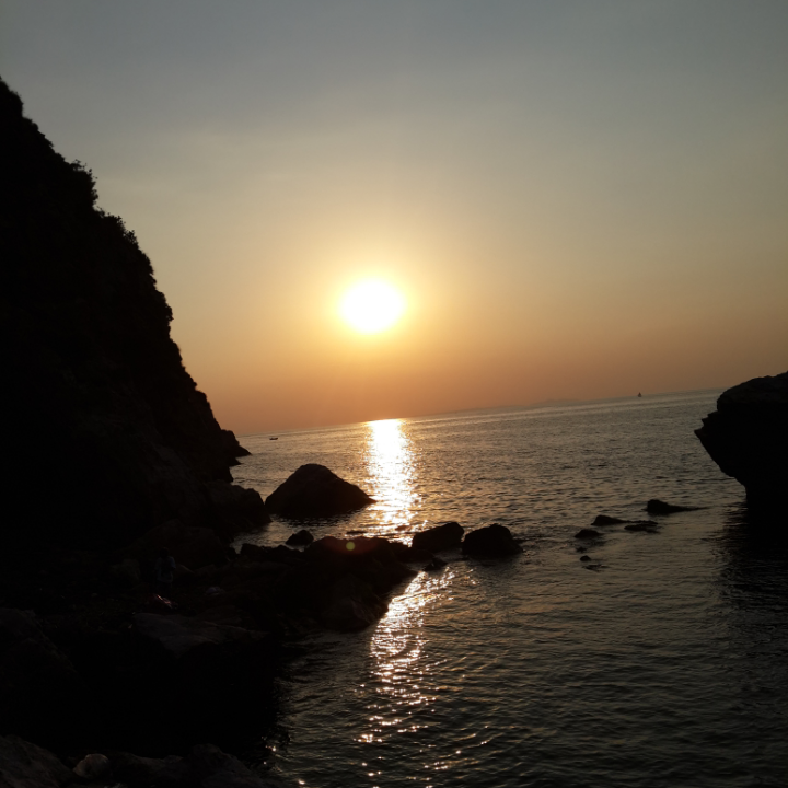 Mesut_arvas banner