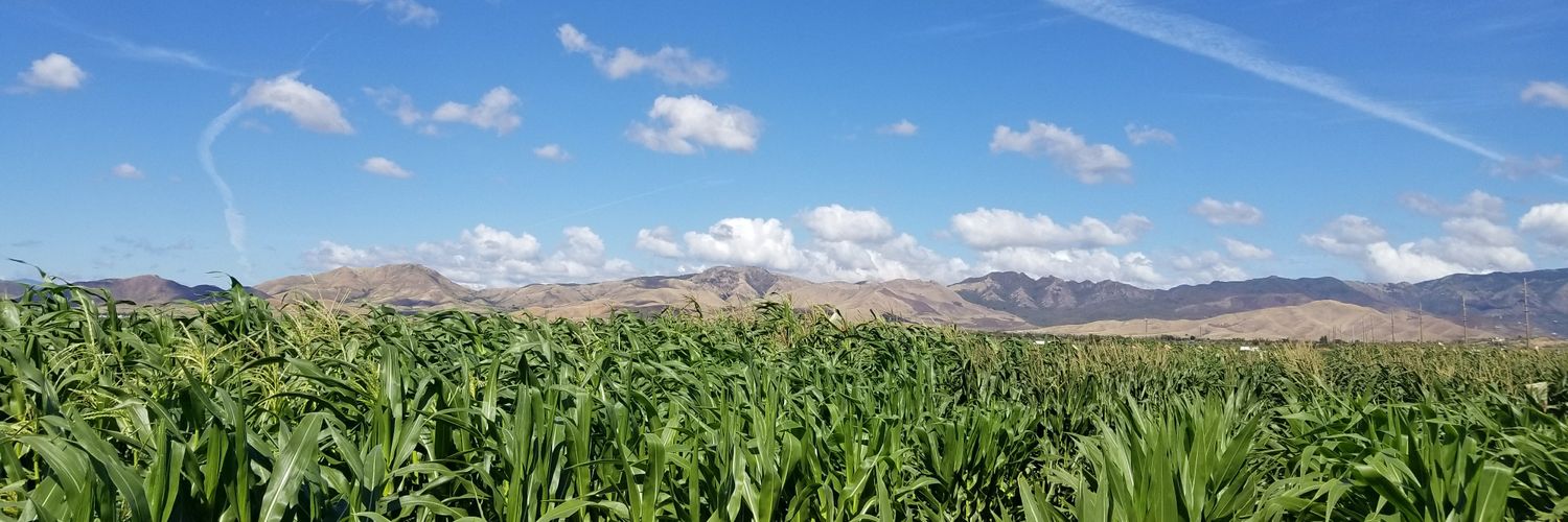 Michael P 🥕🥒🌽🏳️‍🌈 banner