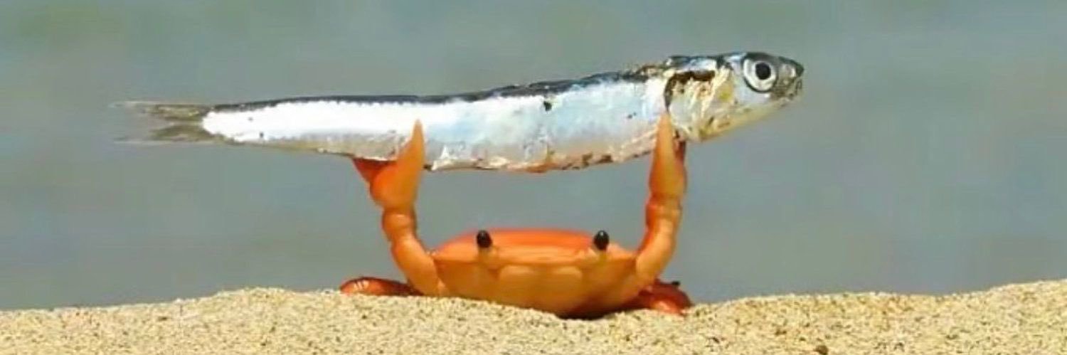 سعد بن سعود banner