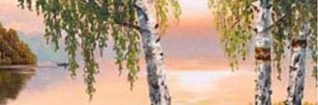 VladUsp007's profile banner image
