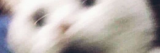 posthedaluz's profile banner image