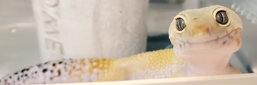 ayaka_74591's profile banner image