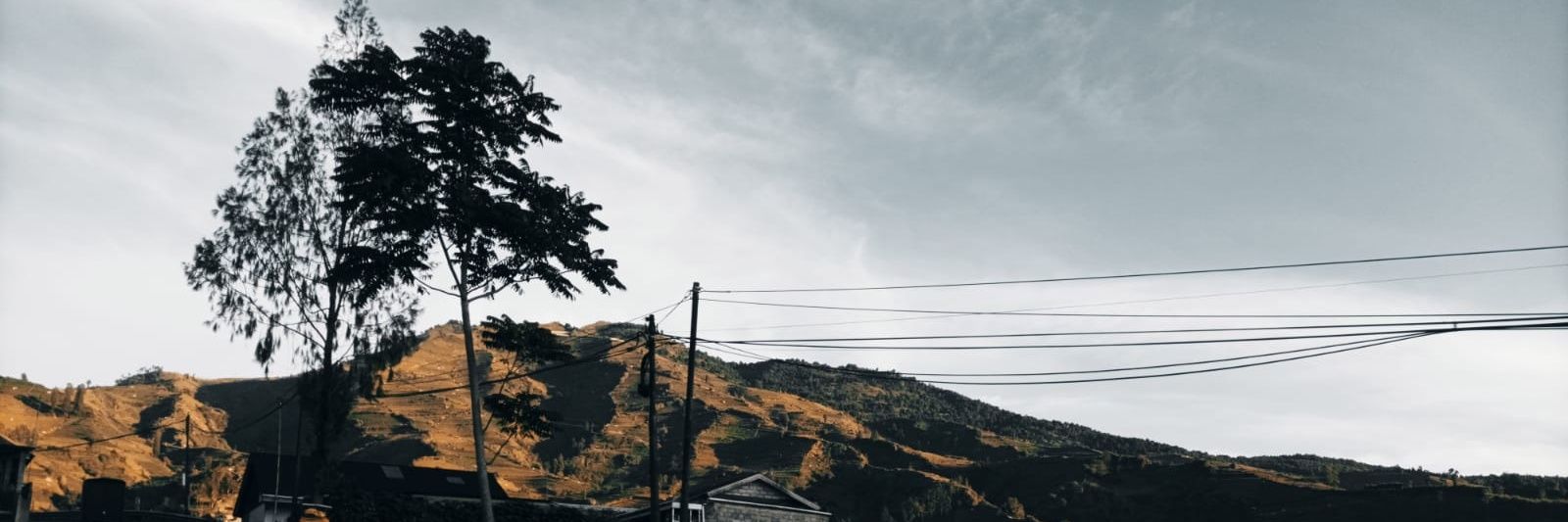 brmtywd's profile banner image