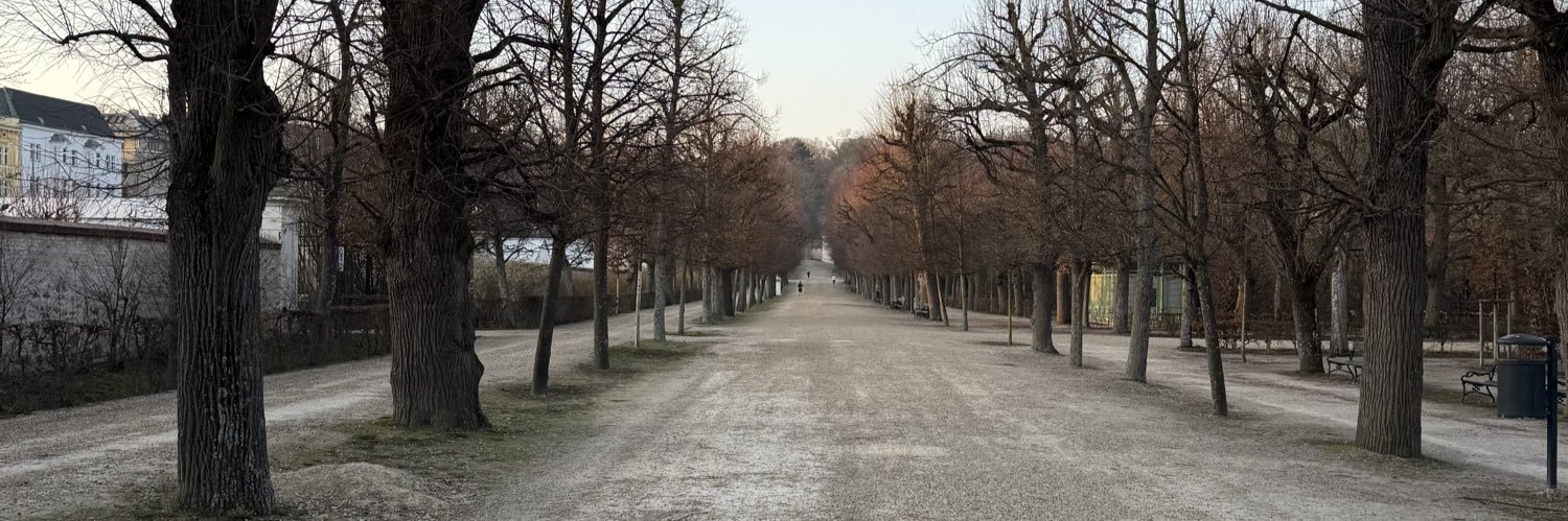 Christian Soschner banner