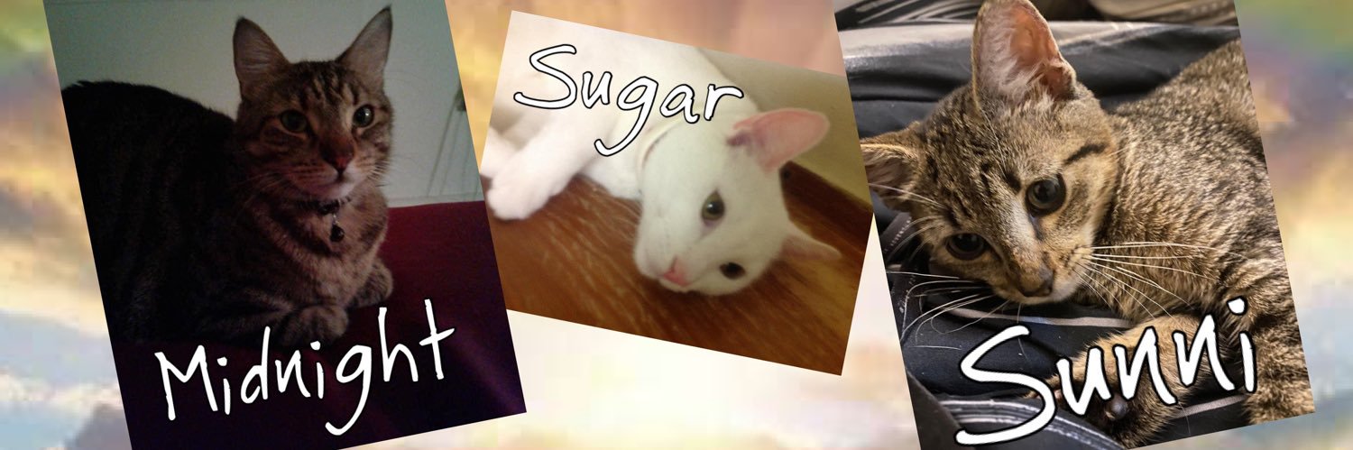 MariRoman83's profile banner image