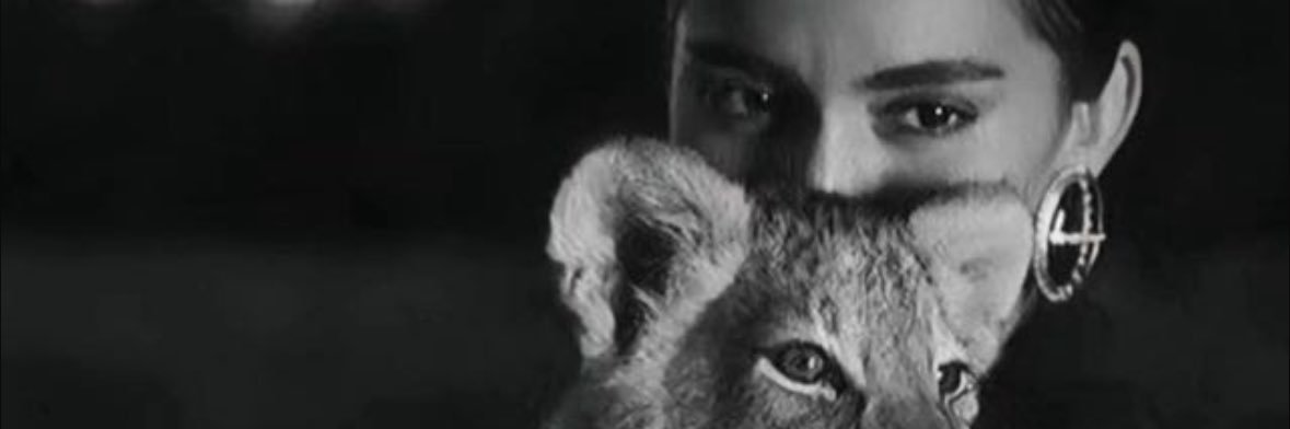IWJ_97's profile banner image