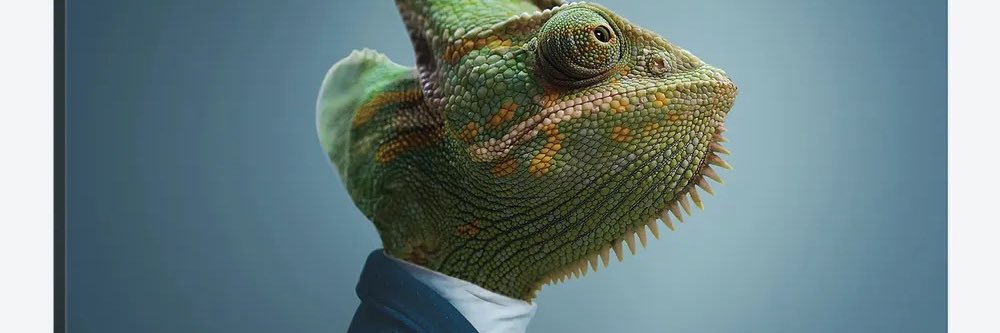 drakennessy's profile banner image