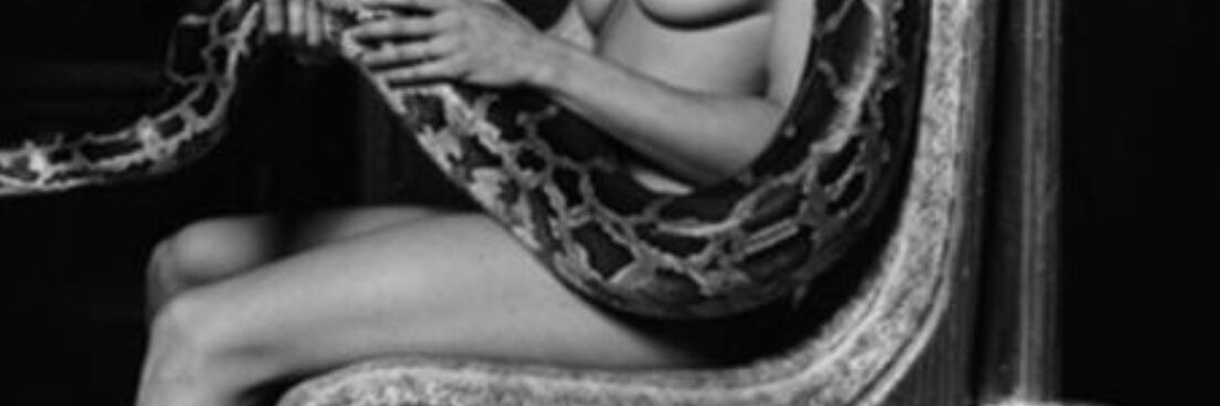 elledub412's profile banner image