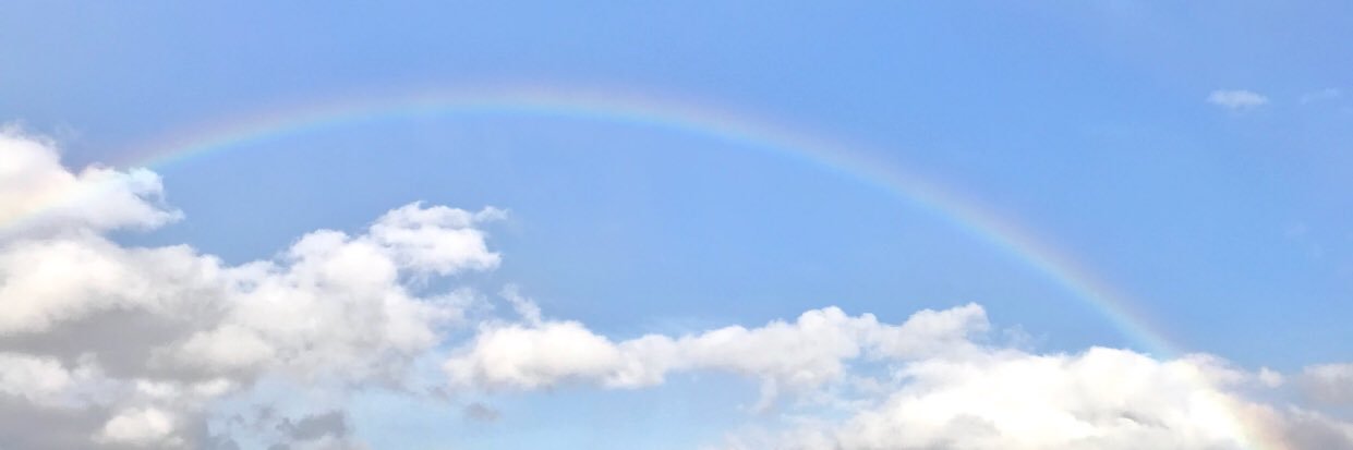 opekepon's profile banner image