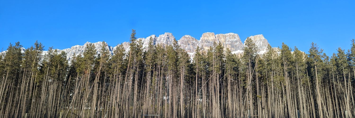 Lesley Harrington banner