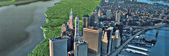 Justin Hamilton banner