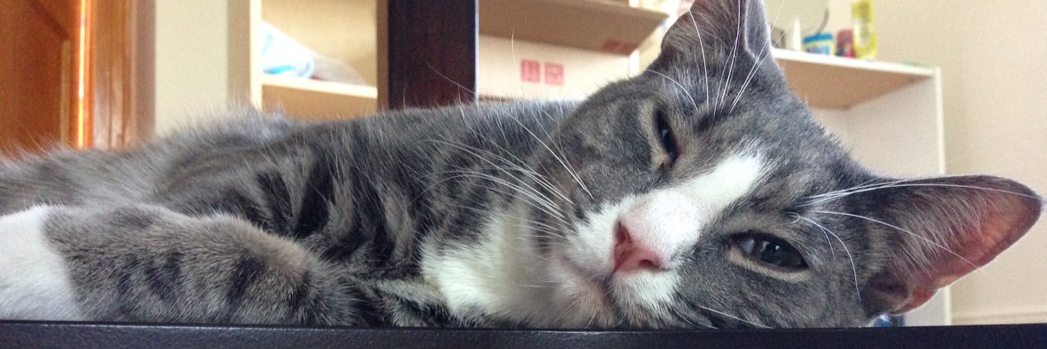 NUTT must win Lotto banner