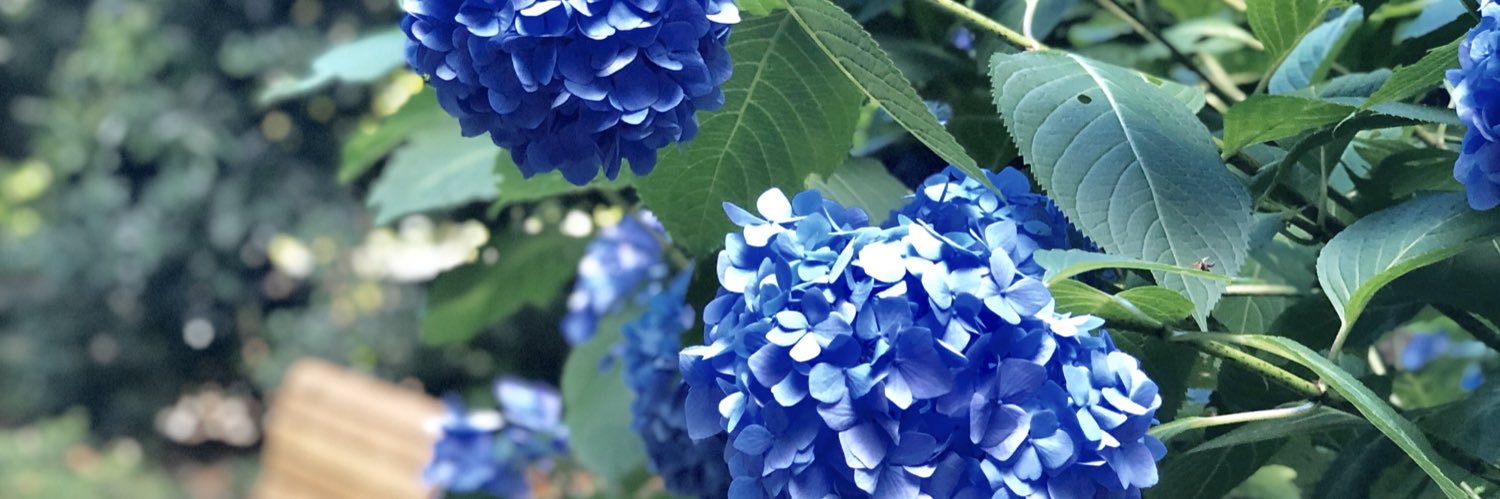 ronnbi_'s profile banner image