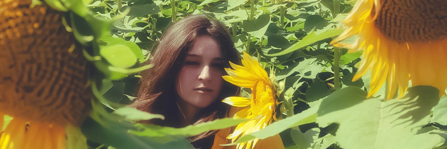 darkcrystalrose's profile banner image