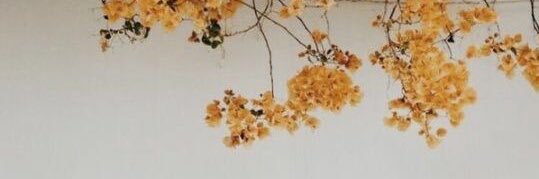 mrta_h's profile banner image